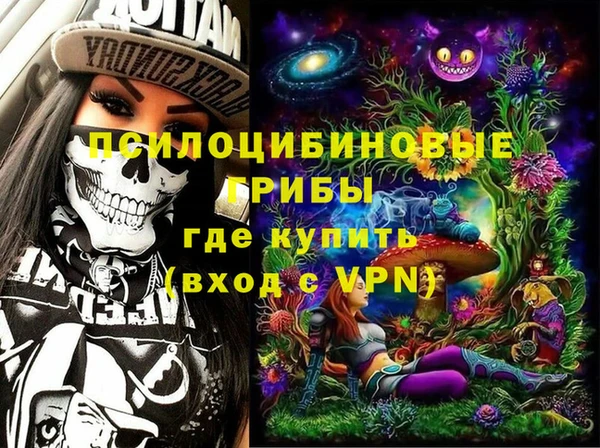 спиды Арсеньев