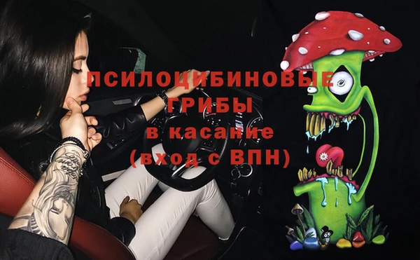 спиды Арсеньев