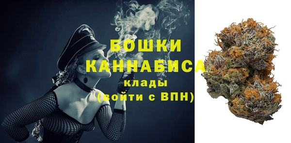 дживик Аркадак