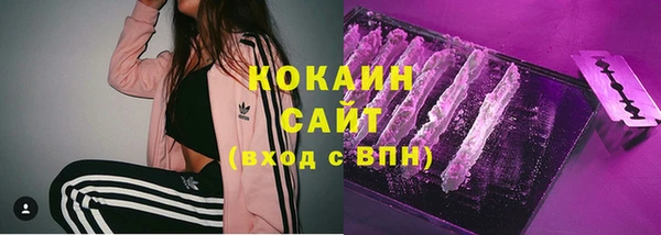 дживик Аркадак