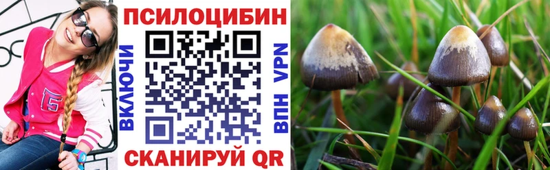 Псилоцибиновые грибы мицелий  hydra зеркало  Ликино-Дулёво 